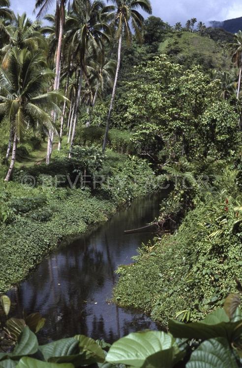 Island;fiji;river;green;trees